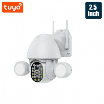  Tuya Smart TY-S2-Q08	