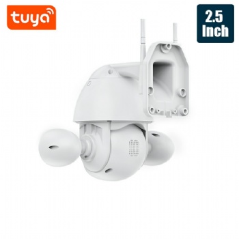  Tuya Smart TY-S2-Q08	