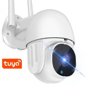 Wifi TUYA TY-S2-Q01