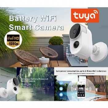  Tuya Smart TY-S2-D03	