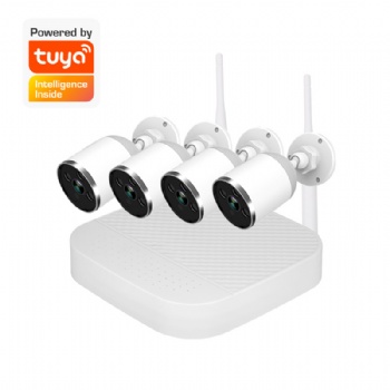 Tuya Smart TY-S2-104-03A