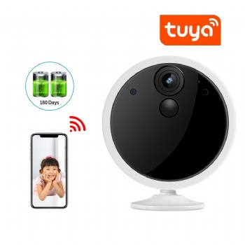  Tuya Smart TY-S2-D12	