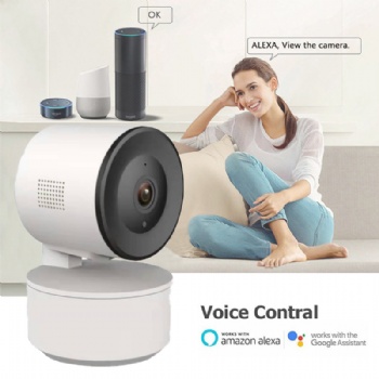  Tuya Smart indoor camera TY-S2-J0	